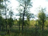 DSC01922