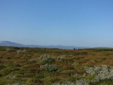 DSC01923