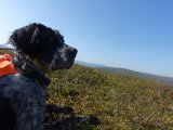 DSC01936
