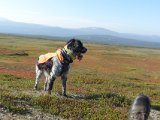 DSC01959