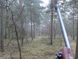 DSC03700