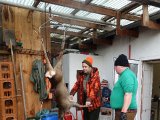 DSC03706