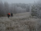 DSC03730