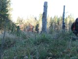 DSC03599