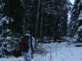 Fågel Jan 2021