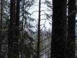 DSC02966