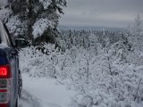 DSC02967