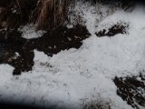DSC02969