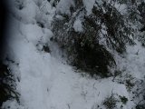 DSC02970