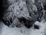 DSC02972