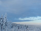 DSC03013
