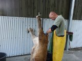 DSC03535