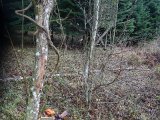 DSC03631
