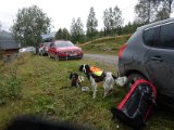 DSC03290  regn stoppet, men fugtigt og kuldefaktor omkring 0