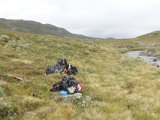DSC03304  nedstigning fra højsø, runde bjerget i baggrund og vej mod hytte