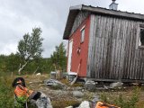 DSC03308  der vist kun par døde ryper og 'hylemikler' hjemme