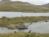 DSC03314  'lil'sø ved 'dørtærskel' til hytte