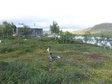 DSC03336
