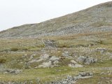 DSC03352  men der ikke andet end sten og lav