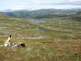 DSC03371  så kommet over i hyttesiden af passet ind i 3rn..kig ved mod retning hvor der var 'rypefald' nedenfjelds