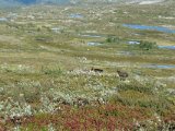 DSC03380