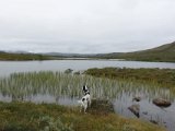 DSC03393