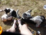 DSC03407  tilbaws .. varmt i goretex bukser.. skal bare dampe af