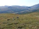 DSC03480  Härbergsdalen øvre del i det fjerne