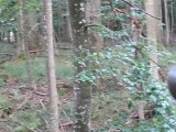 DSC03556
