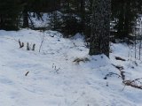 DSC03957