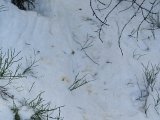 DSC03958