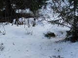 DSC03959