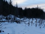 DSC03967