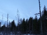 DSC03968
