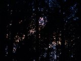 DSC03970