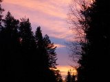 DSC03971
