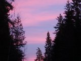 DSC03972