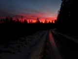 DSC03973
