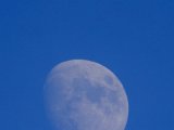DSCF8288