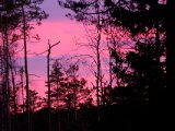 DSCF8289