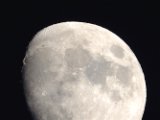 DSCF8291