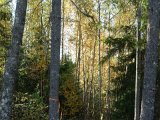 DSC04673