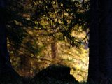DSCF9849