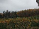DSC04763