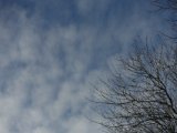 DSC04748