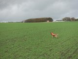 DSC04750