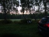 DSC04366