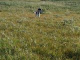 DSC04381
