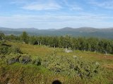 DSC04399
