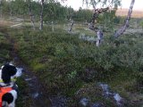 DSC04404